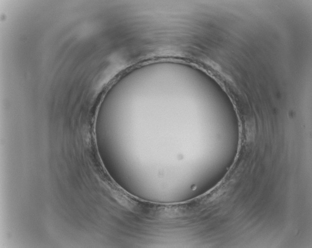 X0000073731266200608101921