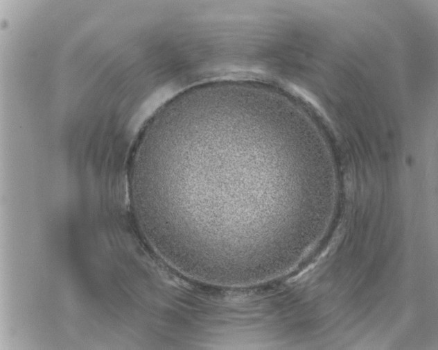 X0000073731267200608101921