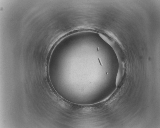 X0000073731268200608101921