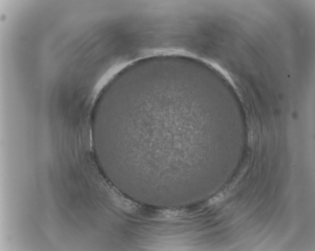 X0000073731271200608101921