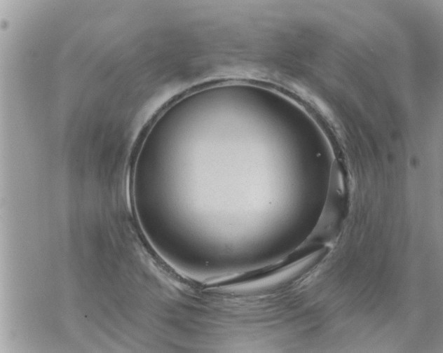 X0000073731272200608101921