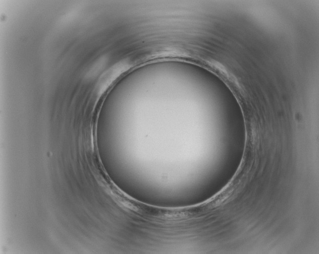 X0000073731274200608101921