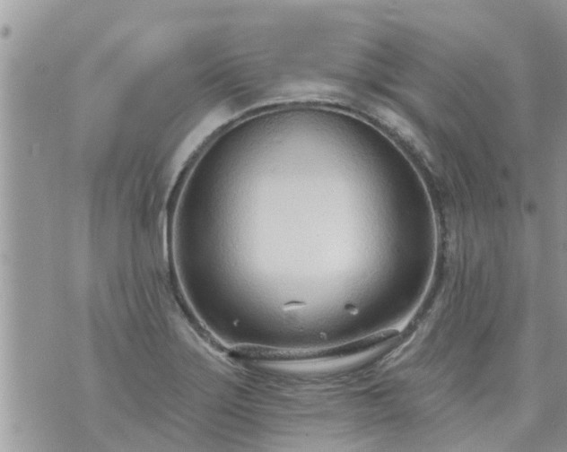 X0000073731275200608101921