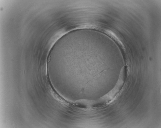 X0000073731276200608101921