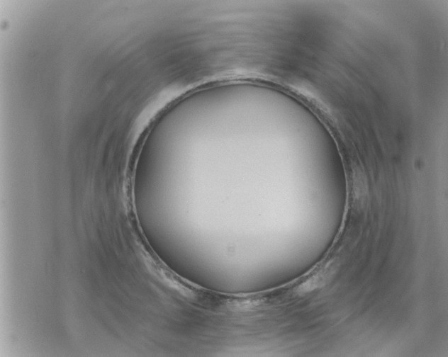 X0000073731278200608101920