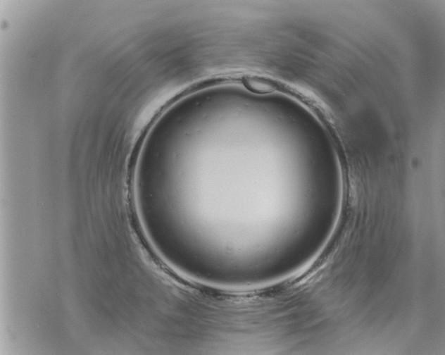 X0000073731279200608101920