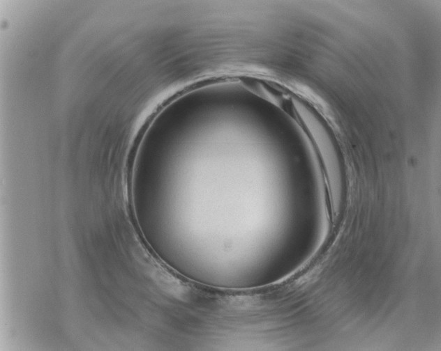 X0000073731280200608101920