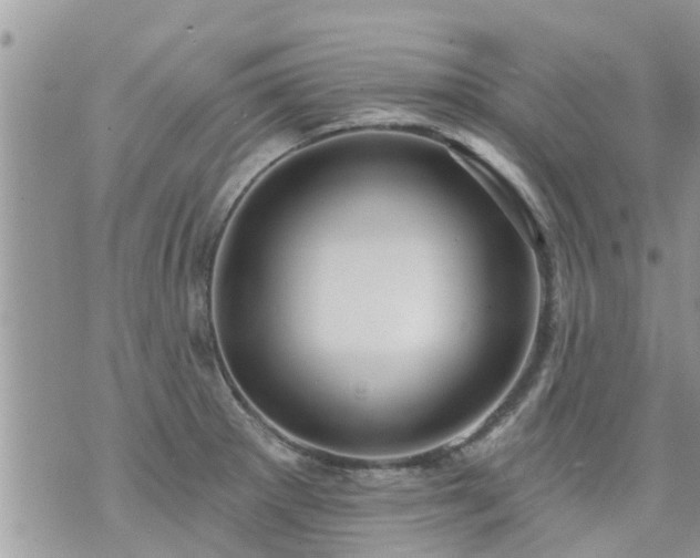 X0000073731281200608101920