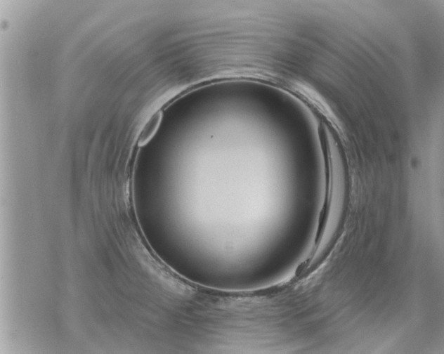 X0000073731284200608101920