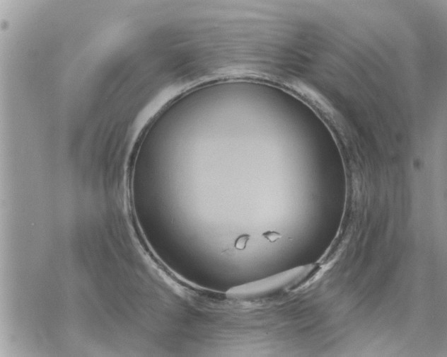 X0000073731286200608101920