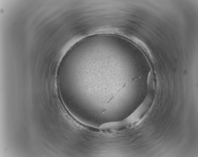 X0000073731288200608101920