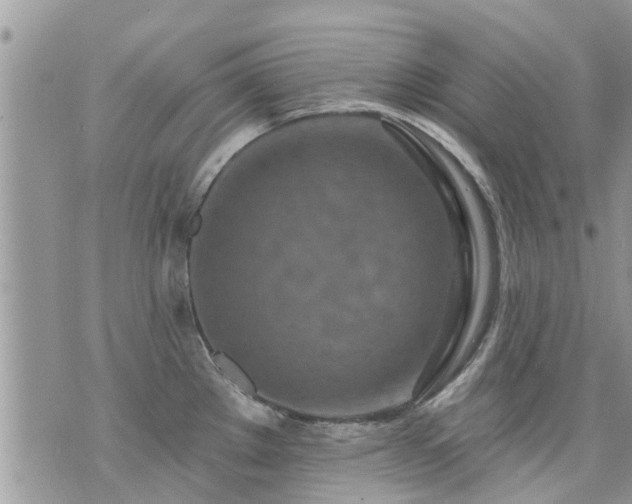 X0000073731289200608101920