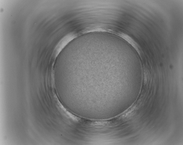 X0000073731290200608101920