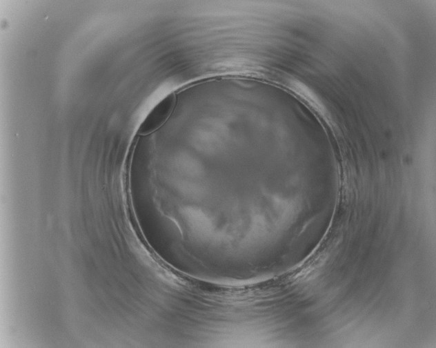 X0000073731291200608101920