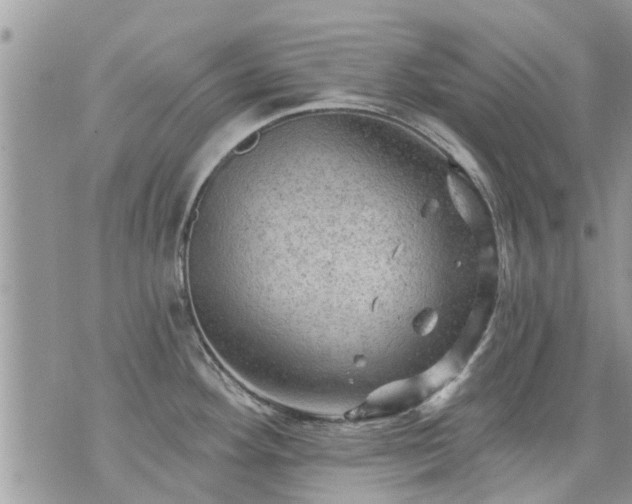 X0000073731292200608101920