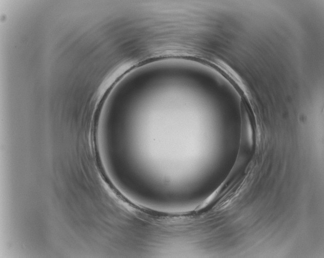 X0000073731293200608101920