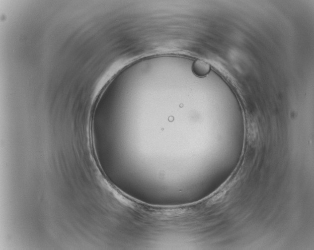 X0000073731294200608101920