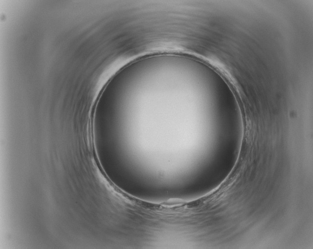 X0000073731295200608101920