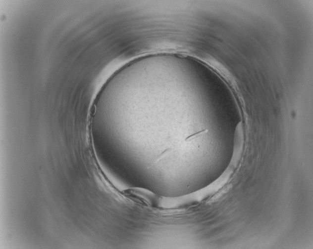 X0000073731296200608101920