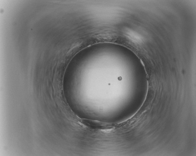 X0000073731297200608101919