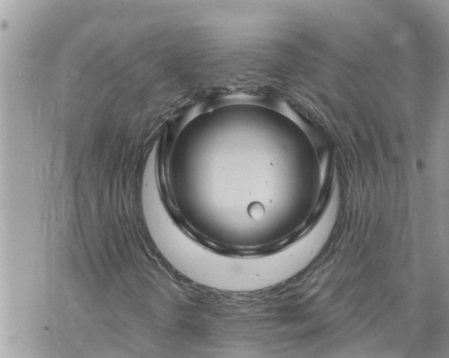 X0000073731298200608101919