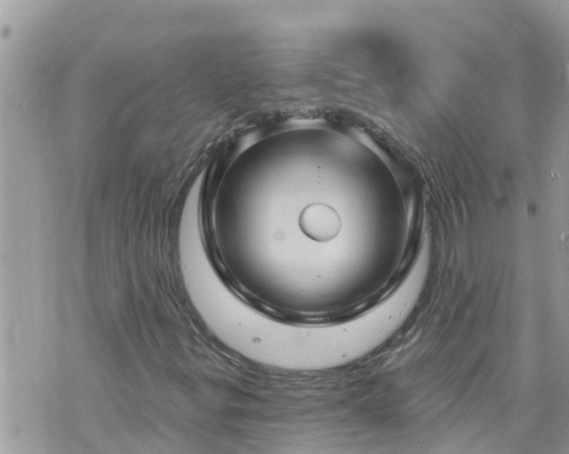 X0000073731299200608101919