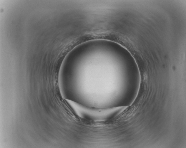 X0000073731300200608101919