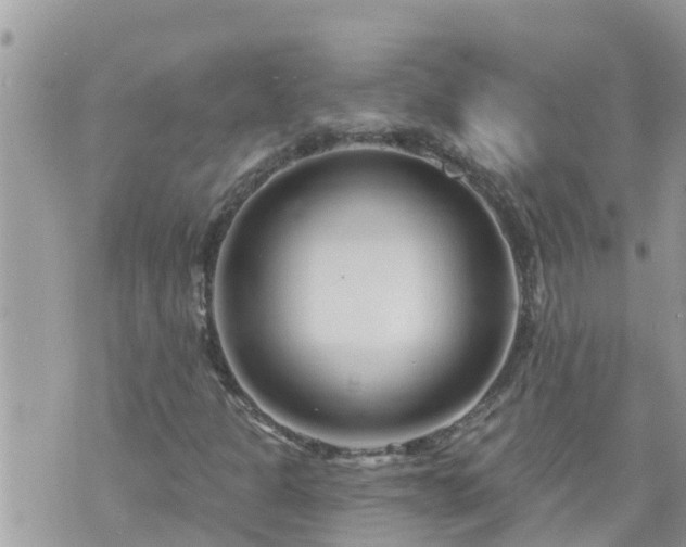 X0000073731301200608101919