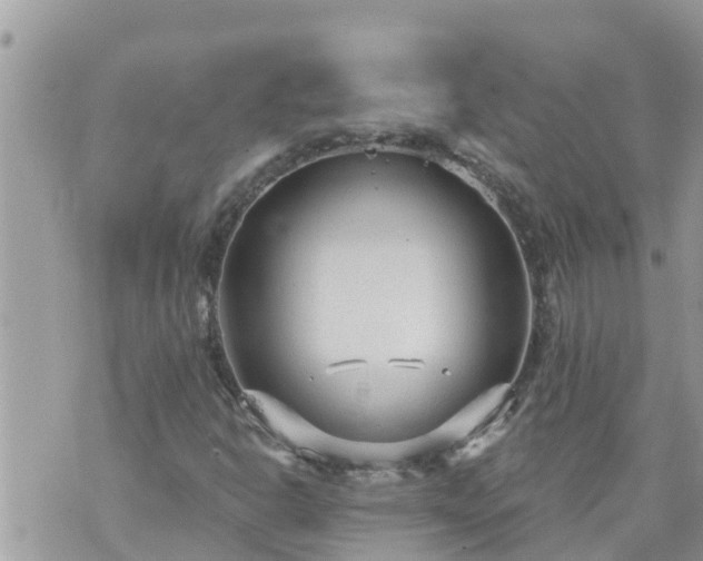 X0000073731302200608101919