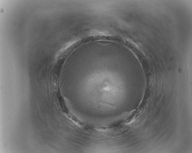 X0000073731303200608101919