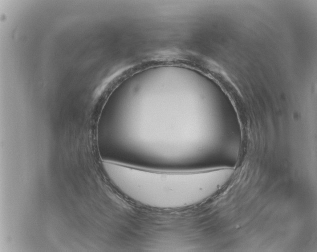 X0000073731304200608101920