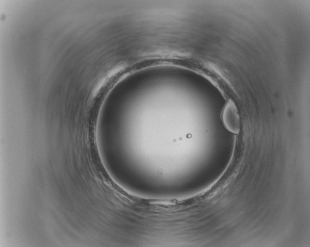 X0000073731307200608101920