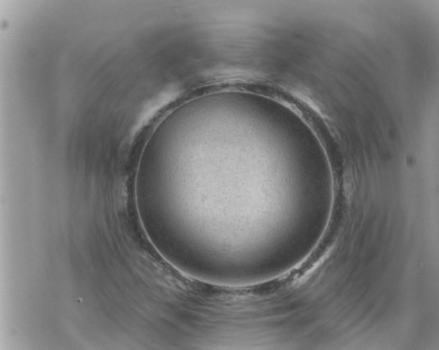 X0000073731309200608101920