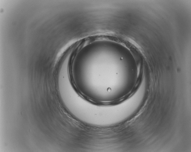 X0000073731310200608101920