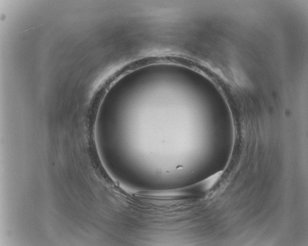 X0000073731311200608101920