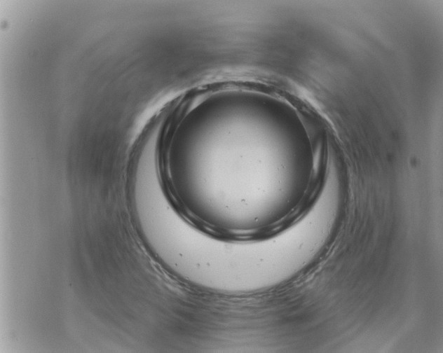 X0000073731312200608101920