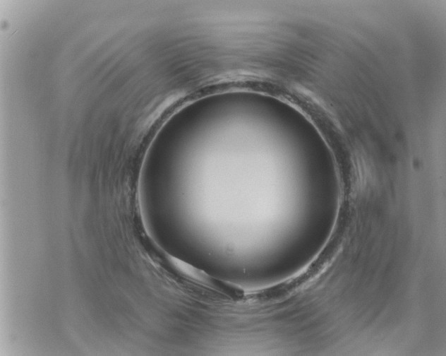 X0000073731313200608101920