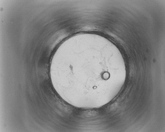 X0000073731314200608101920