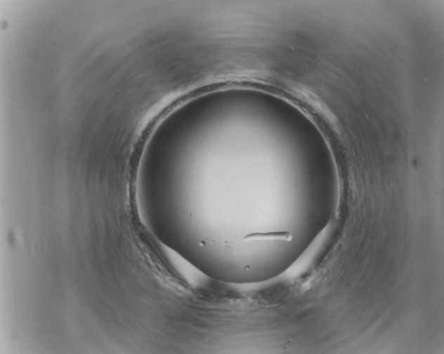 X0000073731316200608101920