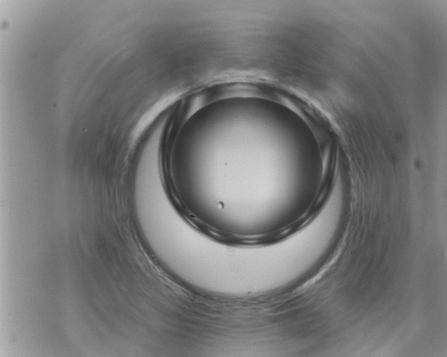 X0000073731317200608101920