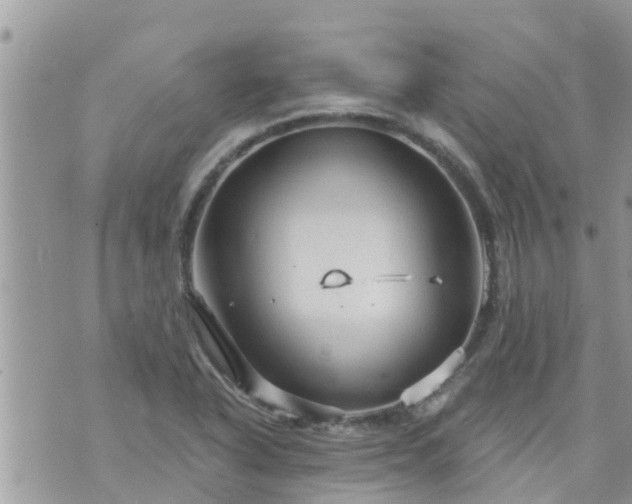 X0000073731318200608101920