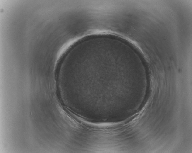 X0000073731319200608101920