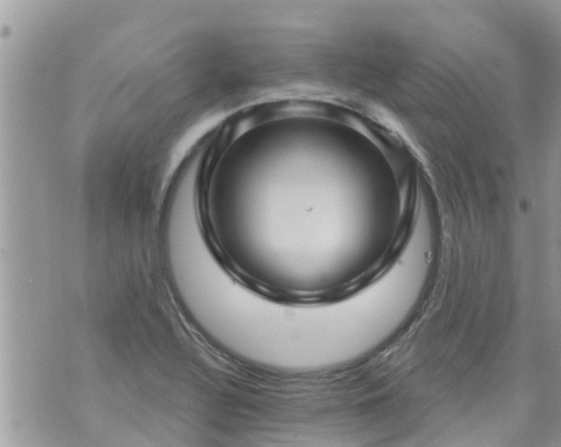 X0000073731320200608101920