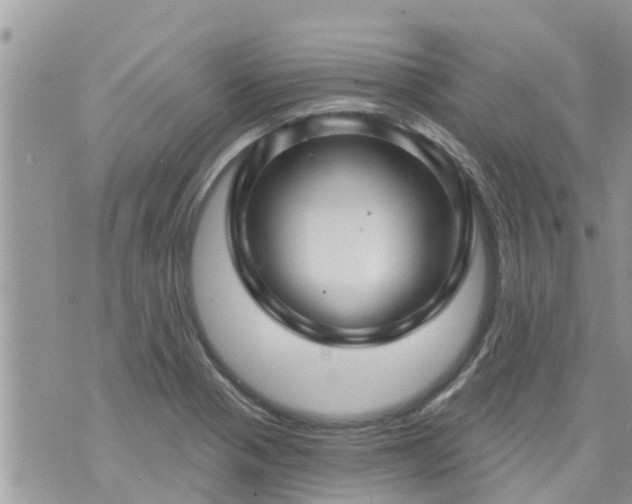 X0000073731321200608101920