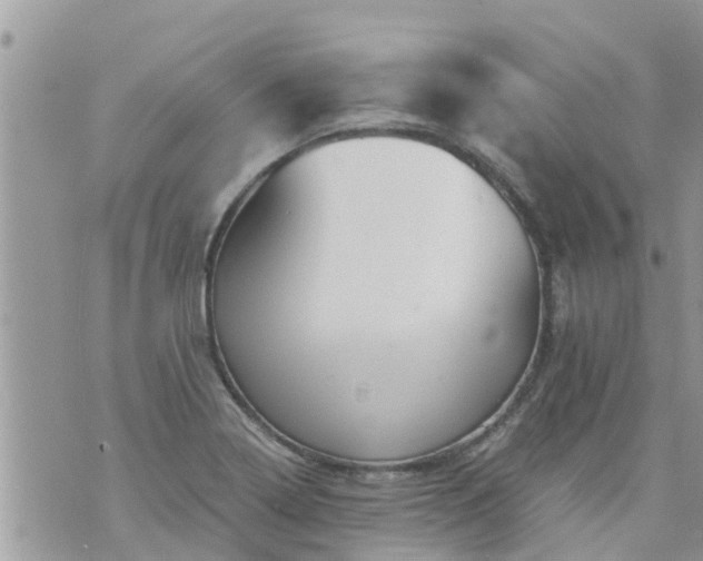 X0000073731322200608101920