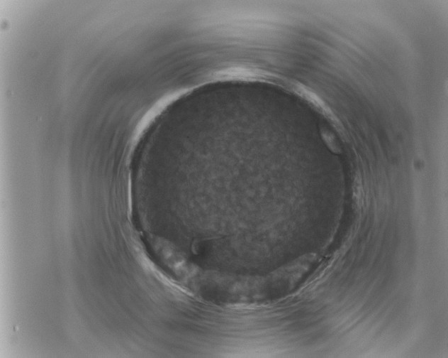 X0000073731323200608101920