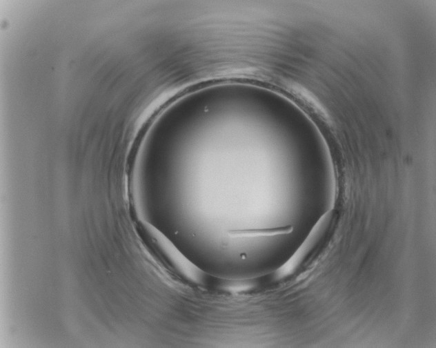 X0000073731324200608101920