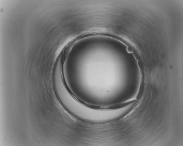 X0000073731325200608101920