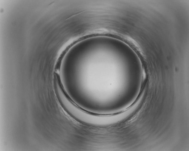 X0000073731326200608101920