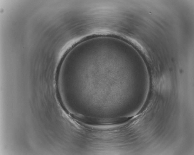 X0000073731327200608101920